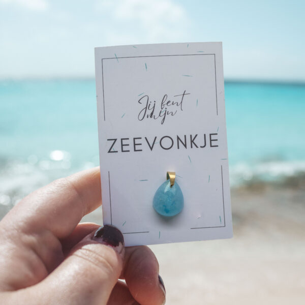 Zeevonk hanger